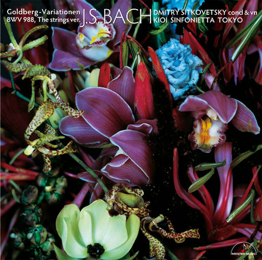 9国内精品永久免费观看
